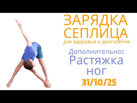 Видео: Расширенная зарядка Сеплица с дополнительным комплексом растяжек для ног и мышц кора. 31.10.25