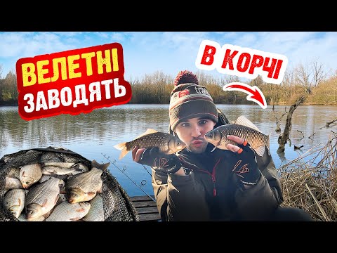 Видео: КАРАСІ ЛАПТІ КЛЮЮТЬ ТІЛЬКИ НА ЦЮ СНАСТЬ! ВЕСНЯНА рибалка на РІЧЦІ ТЕТЕРІВ 2024!