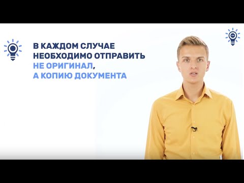 Видео: Подготовка отчёта гранта Росмолодежи