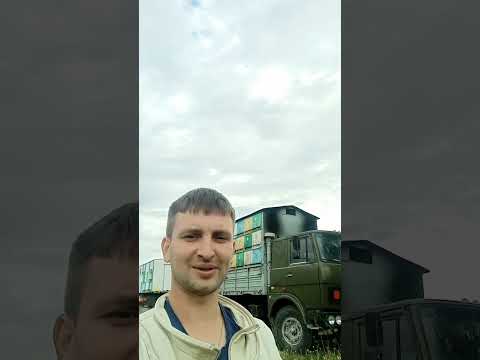 Видео: СНОВА В СТРОЮ #мёд #пчёлы #bee #automobile #пчеловодство #ремонт #маз #топ #матководство