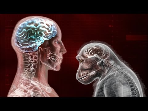 Видео: МОЯ УМНЕЕ ТВОЯ ► Plague Inc: Evolved #16