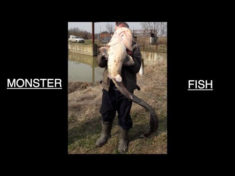 Видео: Рыбалка на реке Псекупс, Четук