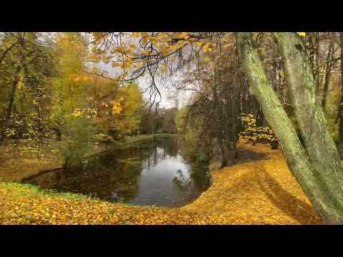 Видео: Осень в Москве. Воронцовские пруды.