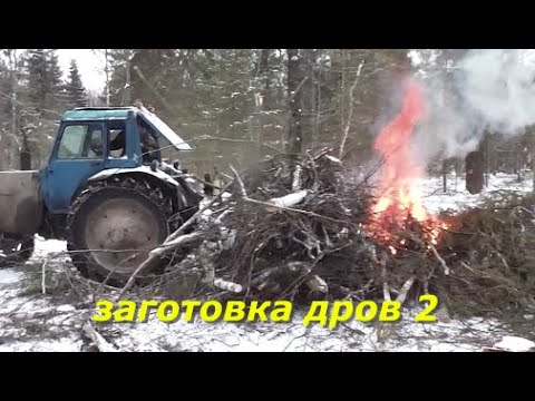 Видео: Заготовка дров 2 часть.