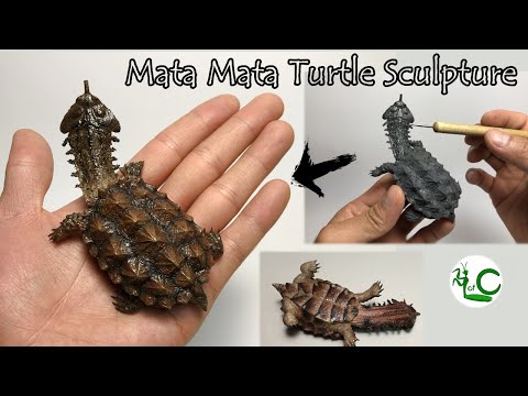 Видео: Скульптура Мата Мата Черепаха Chelus fimbriata Черепаха Скульптура Полимерная глина Жизнь из глины