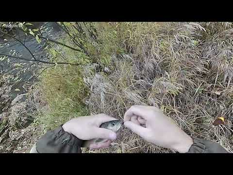 Видео: Рыбалка на горных реках Бурятии 4