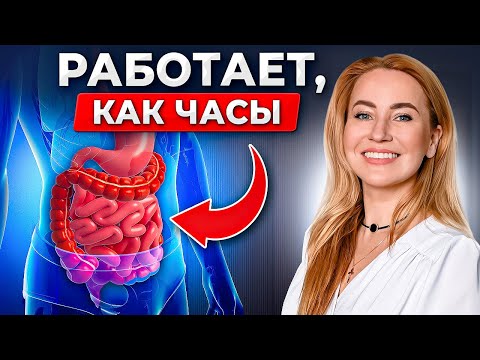 Видео: 3 шага к здоровому кишечнику! Избавься от проблем с пищеварением НАВСЕГДА