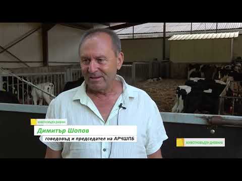 Видео: Животновъден дневник: Роботи премахват фактора "човешка грешка"