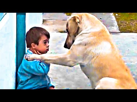 Видео: Попробуй НЕ ЗАПЛАКАТЬ! Топ 30 Самых Трогательных и Добрых Моментов, Снятых На Камеру #9