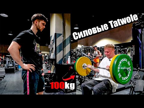 Видео: СКОЛЬКО ПОДНИМЕТ TATWOLE!