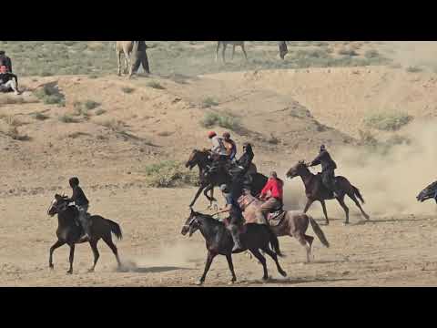 Видео: Бузкаши Ч .Балхи Шахраки Гулистон 18 10.2025