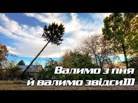 Видео: 5 дерев за 1 день Частина 2