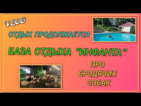 Видео: 🌞Отдых продолжается/ Купаемся, загораем, готовим, кушаем, смотрим мультики/ Про бродячих собак/День5