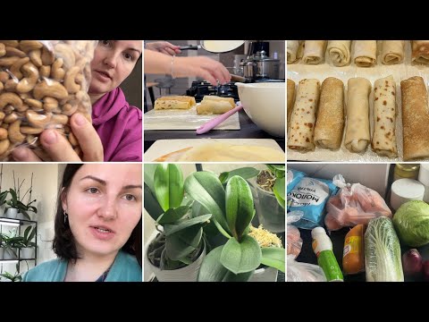 Видео: ✨Заготовки в морозилку| Галя Балувана|| 😍накупила сухофруктів і горішків😍