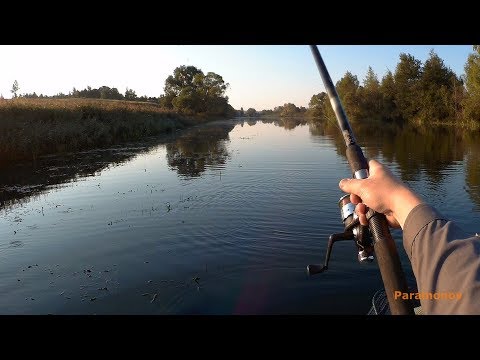 Видео: Ловля щуки на поплавок и не только... Кружки, спининг,