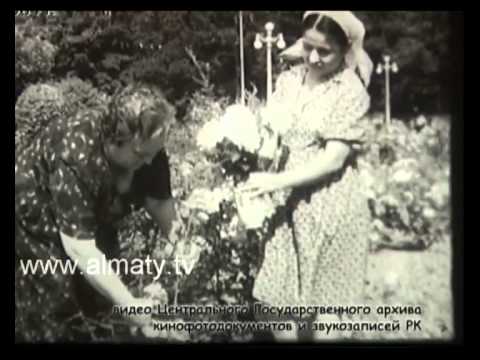 Видео: Парк Горького