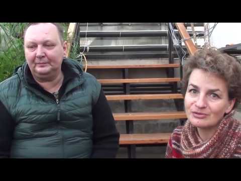 Видео: Как зимует водный гиацинт эйхорния. Консультант И  Суслов