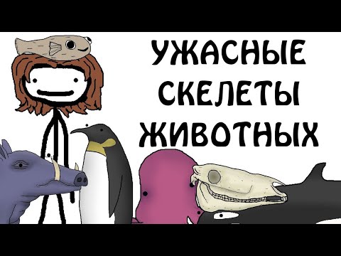 Видео: "ТОП 10 самых ужасных скелетов животных" - Академия Сэма О'Нэллы (Русская Озвучка Broccoli)