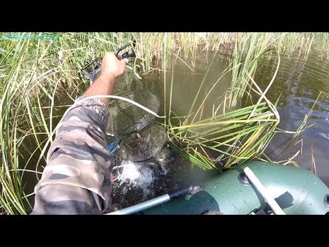 Видео: Отличная рыбалка с лодки на поплавочную снасть.