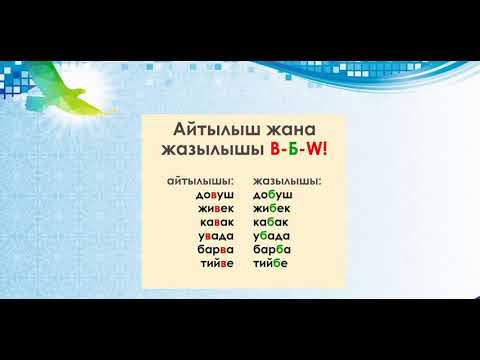 Видео: 5 класс; Каталар үстүндө иштөө