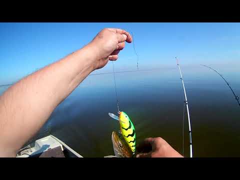 Видео: Рыбалка троллингом на озере Ильмень.