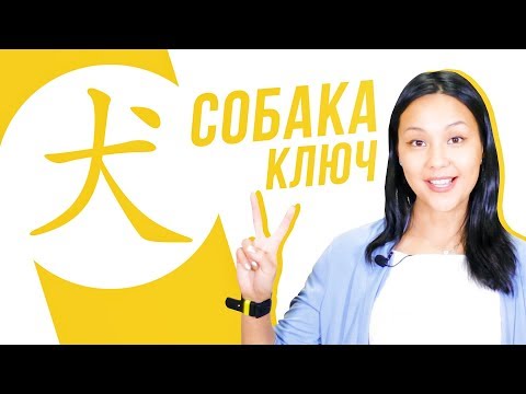 Видео: Ключевые иероглифы #30: 犬 (собака) 🐶 УЧУ КИТАЙСКИЙ ЯЗЫК ✌ Школа Динары Мин ✌
