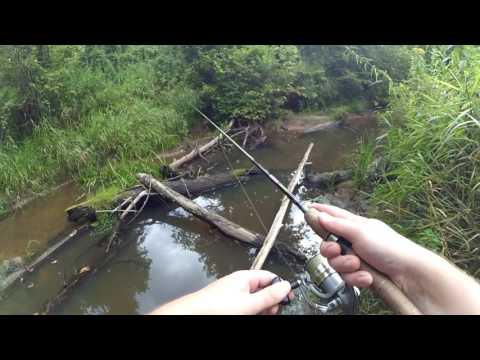 Видео: С Клязьмы на лесную микро-речку