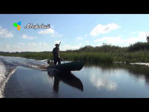 Видео: Лодки Мефодий и мотор-болотоход Муравей 7л.с. (26августа 2016г)