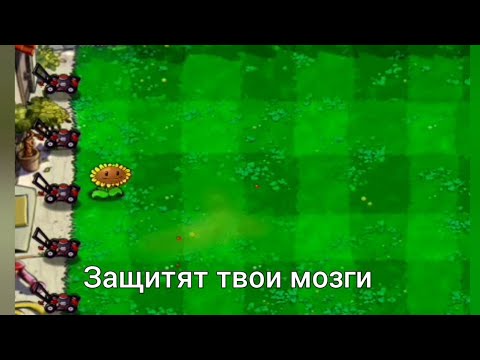 Видео: За тобой цветы но это растения против зомби