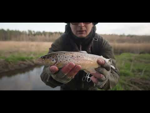 Видео: Форель. Природа просыпается