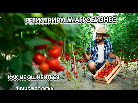 Видео: Как зарегистрировать агробизнес?
