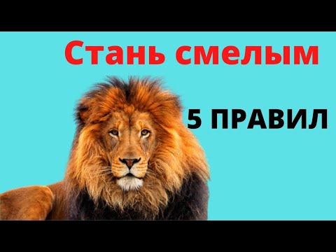 Видео: Как стать смелым и перестать бояться