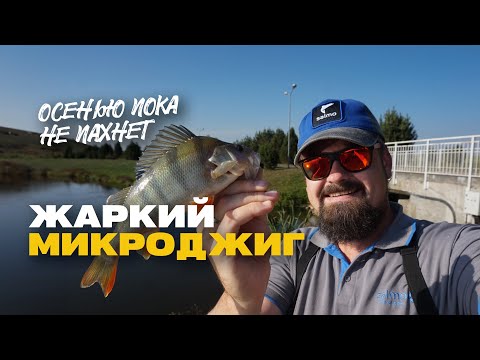 Видео: Летний Микроджиг Осенью Жизнерадостная Рыбалка