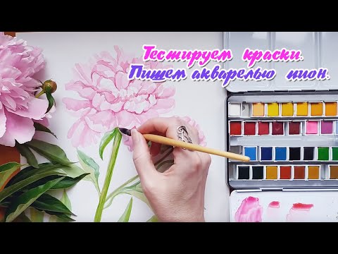 Видео: Рисуем новыми акварельными красками. Пишем акварелью розовый пион.