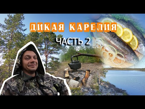 Видео: РЫБАЛКА в КАРЕЛИИ (Часть 2) || ДИКАЯ ФОРЕЛЬ на СПИННИНГ||  УЛОВ на ГОРНОЙ РЕЧКЕ