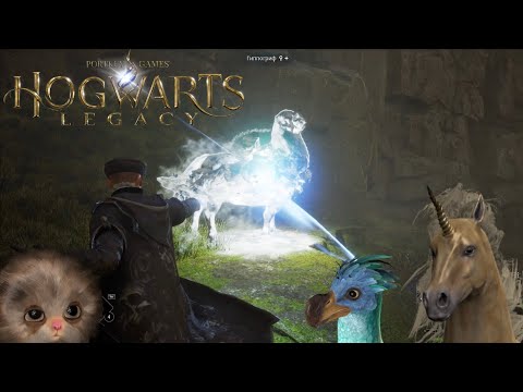 Видео: РЕДКИЕ ЖИВОТНЫЕ в Hogwarts Legacy