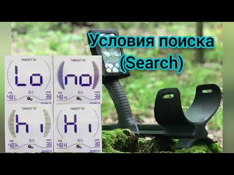Видео: #GaussMD#обзор#Условия поиска(SEARCH)  GaussMD