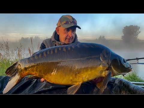 Видео: Карпфишинг на «Удачном». Два трофея и красавчик карп🐟🐟🐟.  Рыбалка, август 2023.