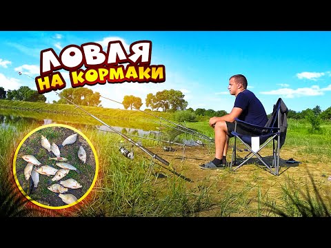 Видео: Ловля карася на кормаки! Карась клюет один за другим!