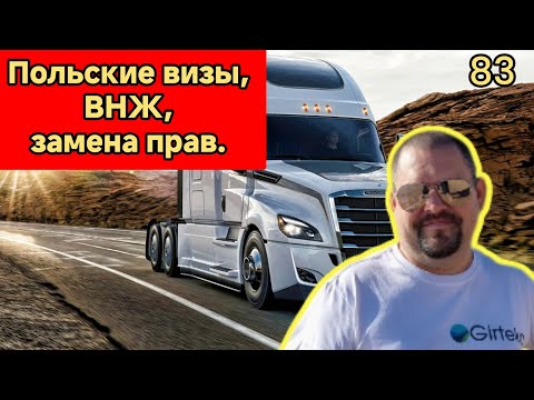 Видео: Польские визы, ВНЖ, замена прав.прямой эфир.