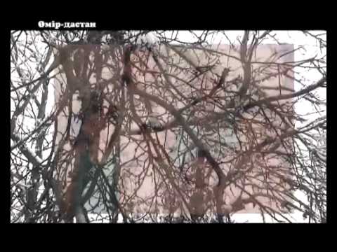 Видео: ЖАҚСЫЛЫҚ СӘМИТҰЛЫ