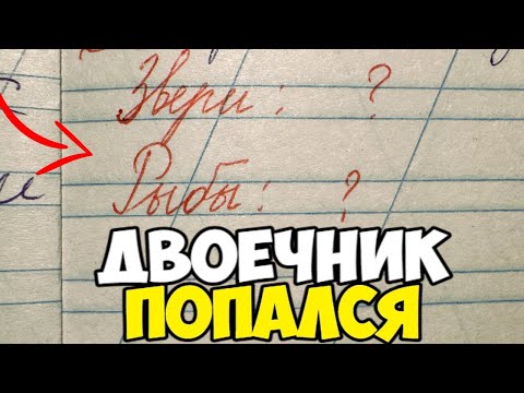 Видео: Проверяю рабочие тетради по русскому языку 2 класс. ДВОЕЧНИК ПОПАЛСЯ