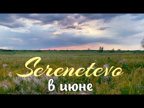 Видео: SERENETEVO В ИЮНЕ ☀️ Фильм о нашей жизни