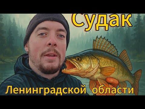 Видео: Ищем судака в лесном озере/Ленинградская область/Октябрь2025