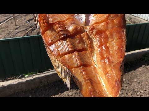 Видео: Коптим ВСЕ. СУДАК. КОРОП.ЩУКА.КАРАСЬ холодного копчення