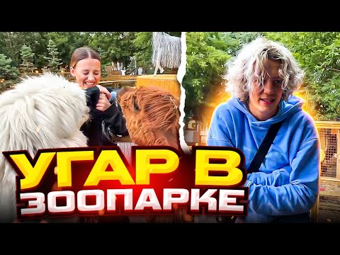 Видео: ПАРАДЕЕВИЧ С ДЕВУШКОЙ ГУЛЯЮТ В ЗООПАРКЕ | ПАРАДЕЕВИЧ НАСТУПИЛ В Г*ВНО