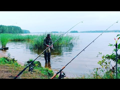 Видео: Рыбалка с ночёвкой летом На Волге! Ловля леща на фидер летом!