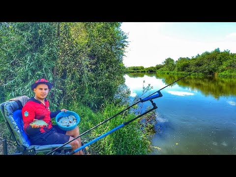 Видео: РИБОЛОВЛЯ на річці СТИР. Закормив ФІДЕРИ і почав ЛОВИТИ. Чому не прийшов ЛЯЩ?