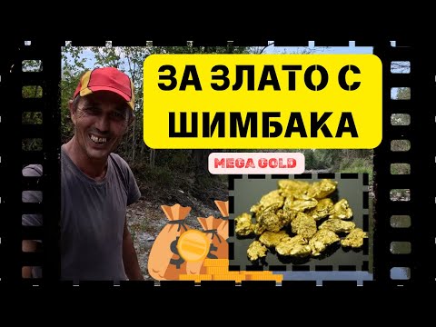 Видео: 🎯 Самородно Речно Злато С Най-Добрия Златотърсач В Болгарии! 🏆