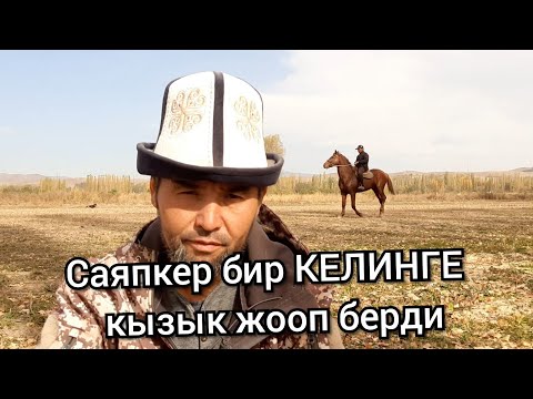 Видео: 😀 Саяпкер кайсы КЕЛИНГЕ жооп берди 😱 ЖЫЛКЫ Тууралуу СУРОО-ЖООП